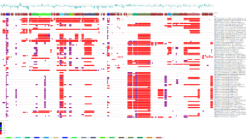 pxocgx01_blastx against multiple related xanthomonas species pxocgx01_blastx against multiple related xanthomonas species